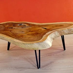 WEDESIGN WEDESIGNWOODART Tables Basses 1 12