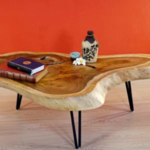 WEDESIGN WEDESIGNWOODART Tables Basses 1 12